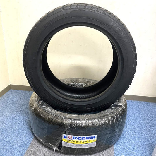 FORCEUM　タイヤ 2本セット　225/50 ZR18 99W XL