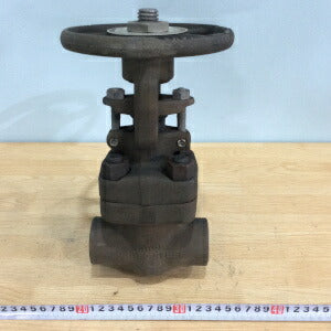 ゲートバルブ　昌立製作所　1B